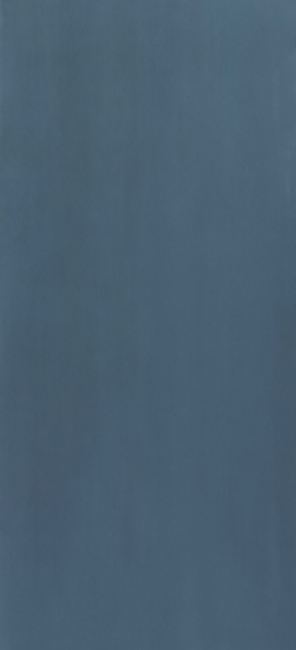 Blue 50x120