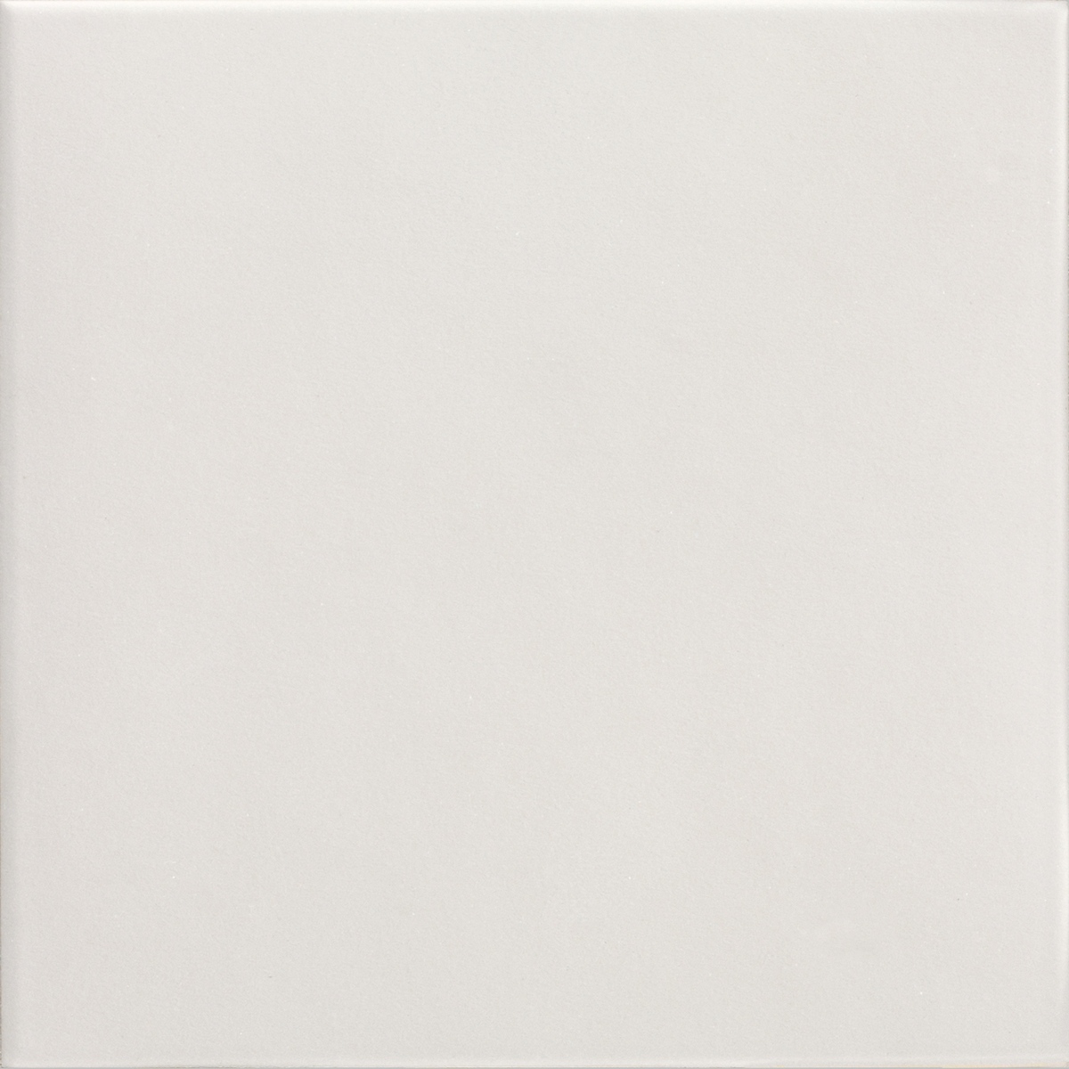 Shell 20x20